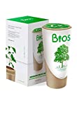 Love Forever Urna para Cenizas Biodegradable Que se Convierte en árbol