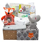Kelzia Canastilla para Bebé Recién Nacido - Caja de Regalo de Bienvenida con Ropa de...